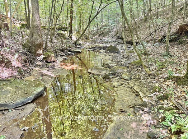 Buck Horn Fork, Bomont, WV 25030