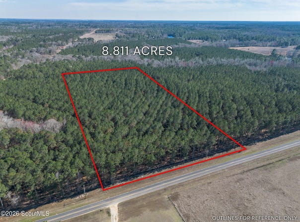 Ben Giddens Road lot: 3, Eastman, GA 31023