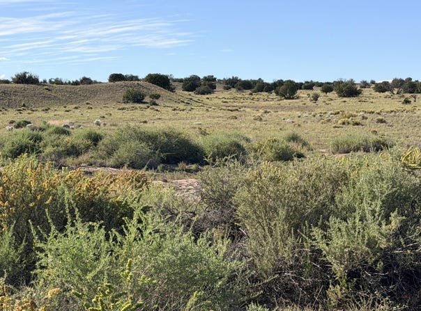 N 6543, St. Johns, AZ 85936