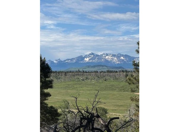 TBD TBD, Placerville, CO 81430