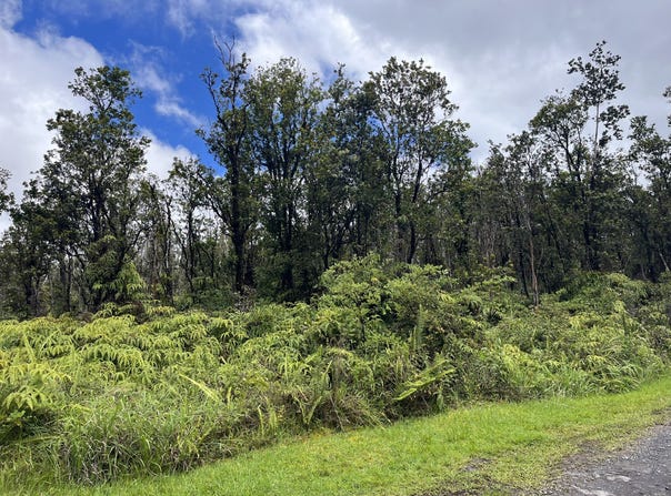 APUAKEHAU RD, Volcano, HI 96785
