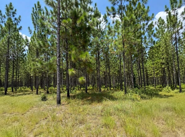Parcel 4 Miller Farm Rd, Lumberton, MS 39455