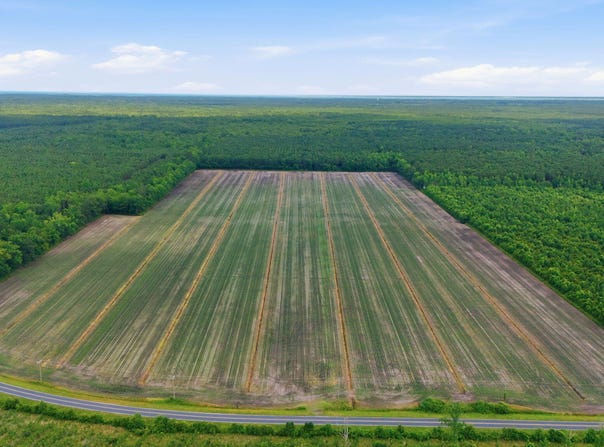 Florence Road, Merritt, NC 28556