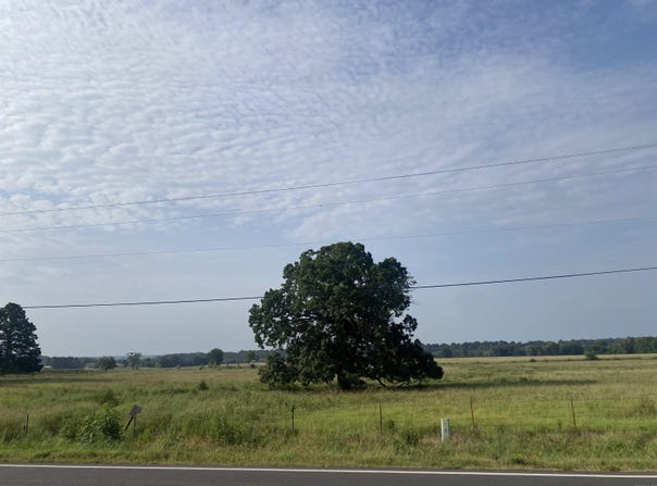 88 Hwy 287, Greenbrier, AR 72058