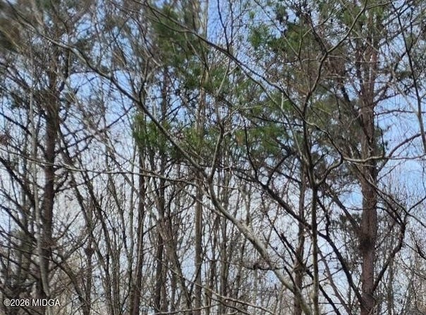 S U Highway 80 E, Knoxville, GA 31050