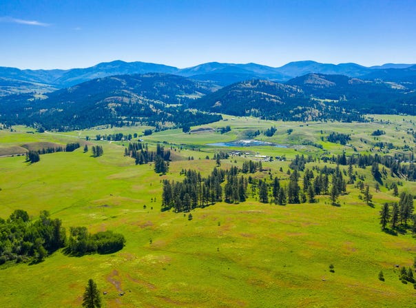 CROMWELL Rd, REPUBLIC, WA 99166