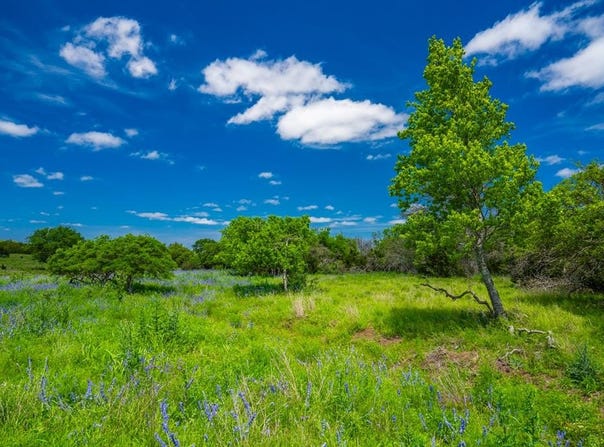 Jung Rd, Harper, TX 78631