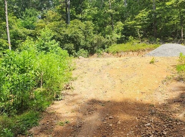418 Shady Grove Rd, HOLLADAY, TN 38341