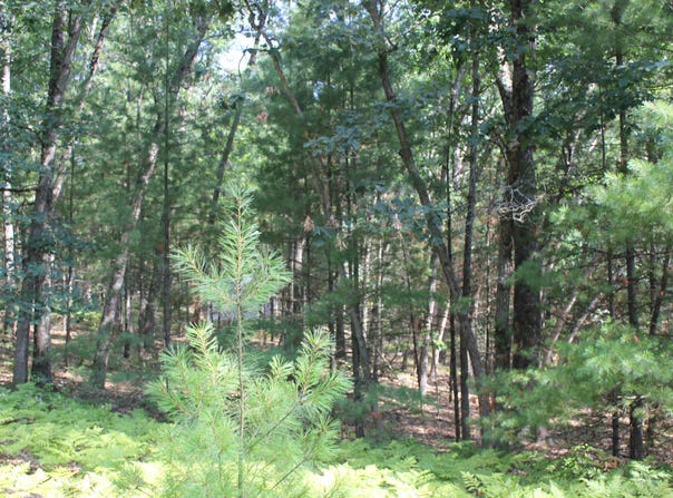 8212 W Goldenrod, Baldwin, MI 49304