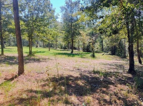 Sam Lewis Road, Citronelle, AL 36522