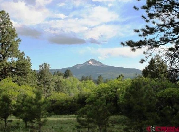 Peninsula Drive, Placerville, CO 81430