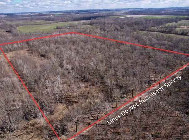 Aster Dr, Clay City, IL 62824