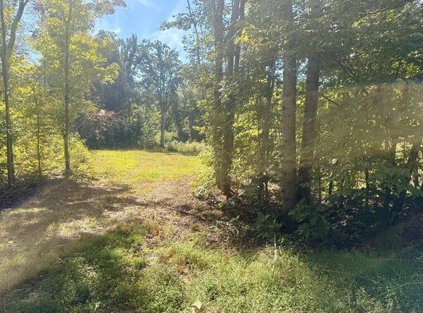 Watson Blvd lot: 12, Meherrin, VA 23954