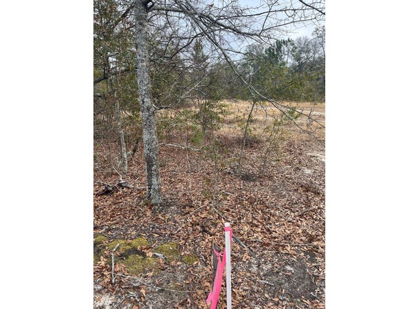 Whl 7 Rainbow Drive, Salley, SC 29137
