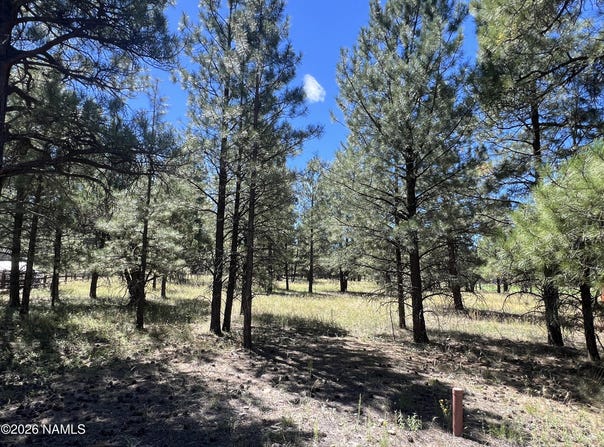 2935 W St Andrews, Williams, AZ 86046