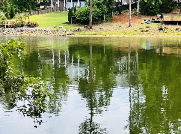Lake Drive, Leesville, SC 29070