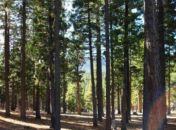 269 Big Cedar Lane lot: 289, Portola, CA 96122