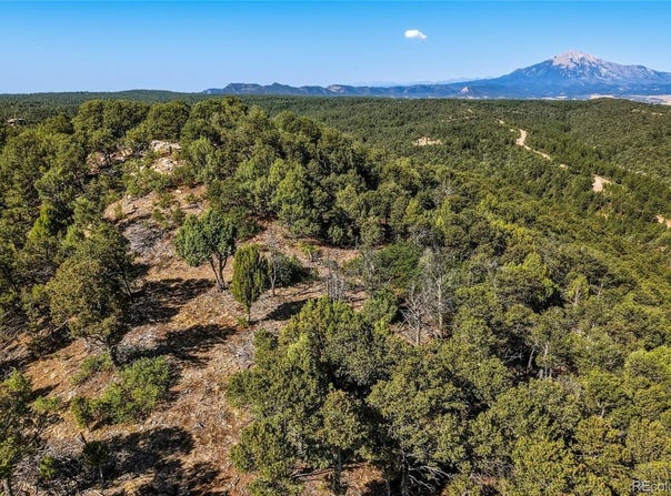 93 Blackhawk Ranch, Walsenburg, CO 81089