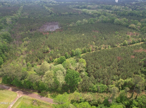 Campbell Creek Road, Mendenhall, MS 39114