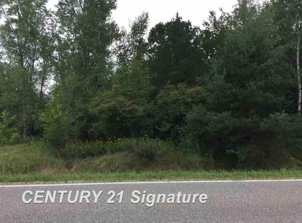 1166 E Freeland Road, Merrill, MI 48637