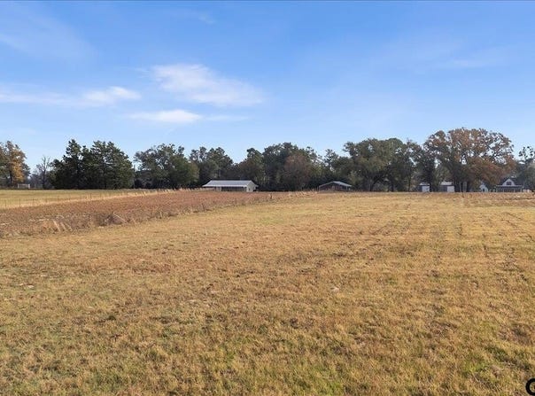 FM 2010, Chandler, TX 75758