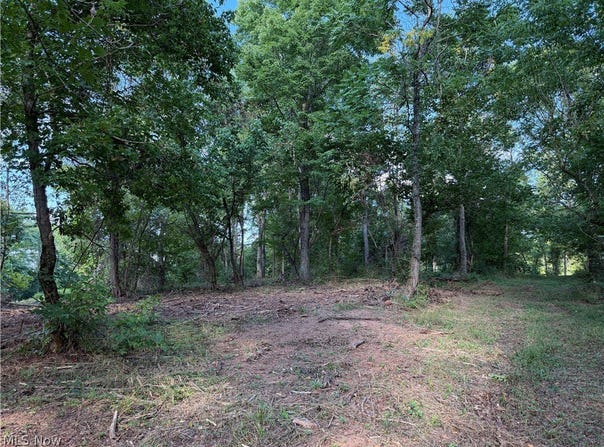 Fisher Ridge Rd, Tract 5, Fleming, OH 45729