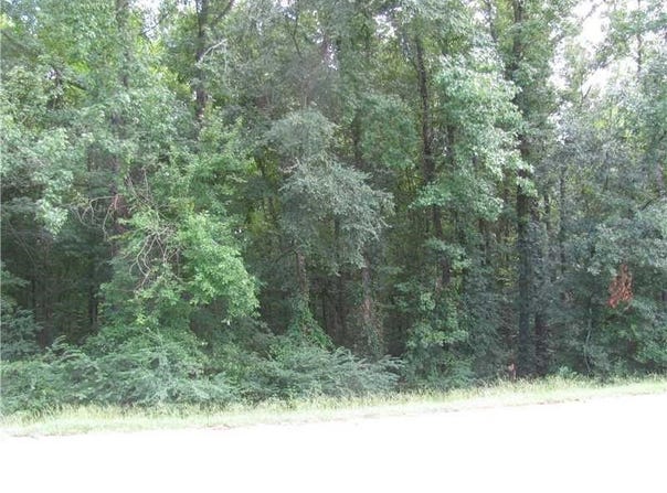 Highway 2, Homer, LA 71040