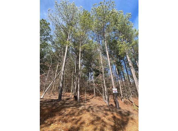 775 Timber Creek Trails S XI, Broken Bow, OK 74728