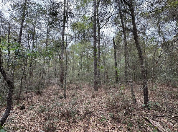 176 NE 155TH Court, WILLISTON, FL 32696