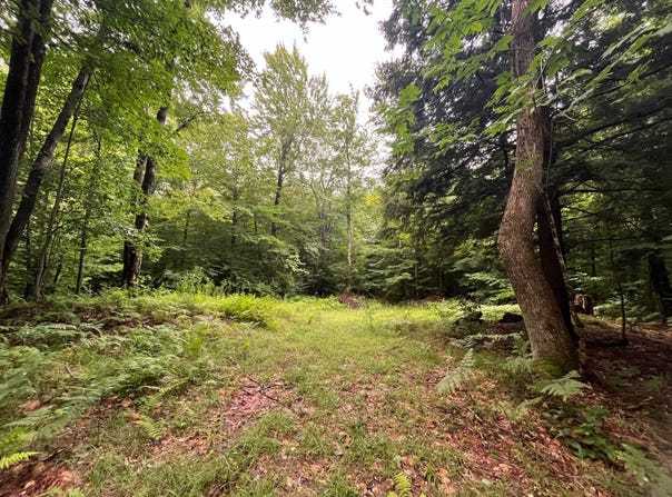 Boyd Pond Rd #11, Russell, NY 13684