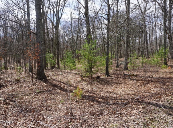 Roosie Road lot: #4, Dingmans Ferry, PA 18328