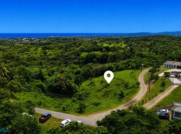 Cienaga Baja, Rio Grande, PR 00745