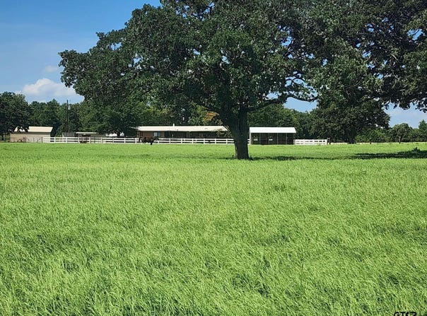 7485 CR 3913, Athens, TX 75752