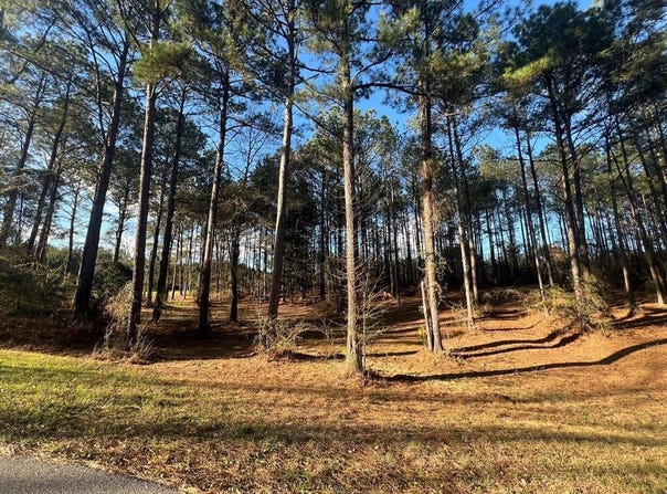 Timber Ridge Drive, Laurel, MS 39443