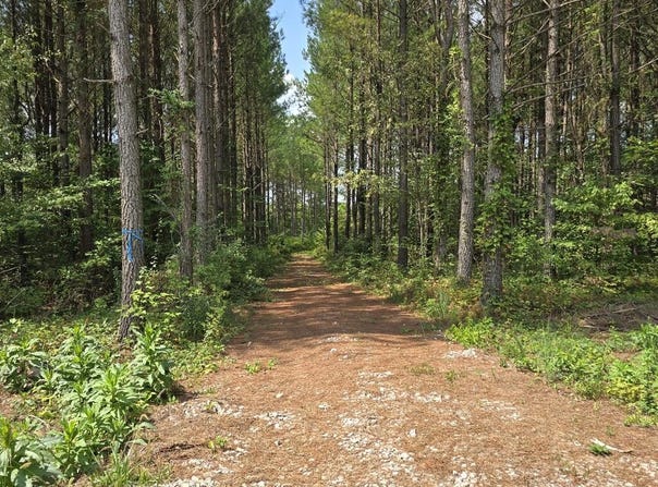 1917 Sheep Ranch Road lot: 5, Robbins, TN 37852