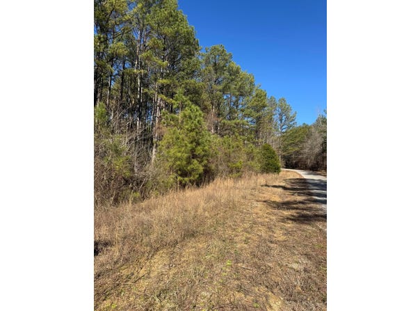 ERNEST CHAPEL Rd, Oakman, AL 35579