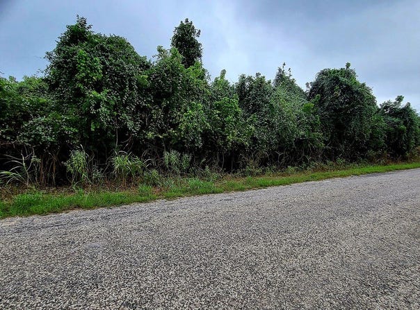 446 Riverside Drive, Bastrop, TX 78602