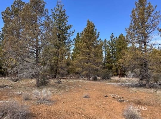 Bliss Rd, Sprague River, OR 97639