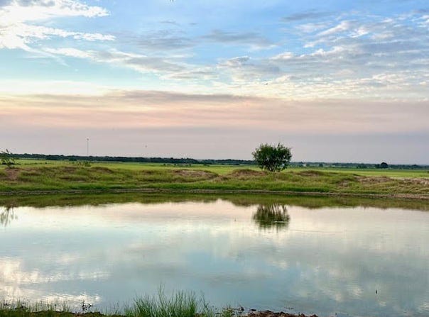 9484 State Highway 36 E, Cross Plains, TX 76443
