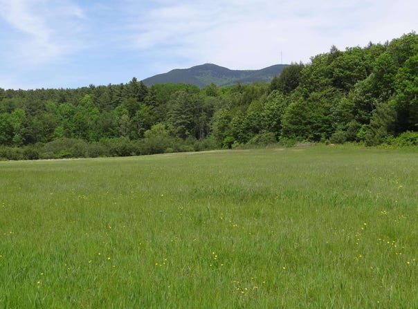 VT RT 131, Weathersfield, VT 05030