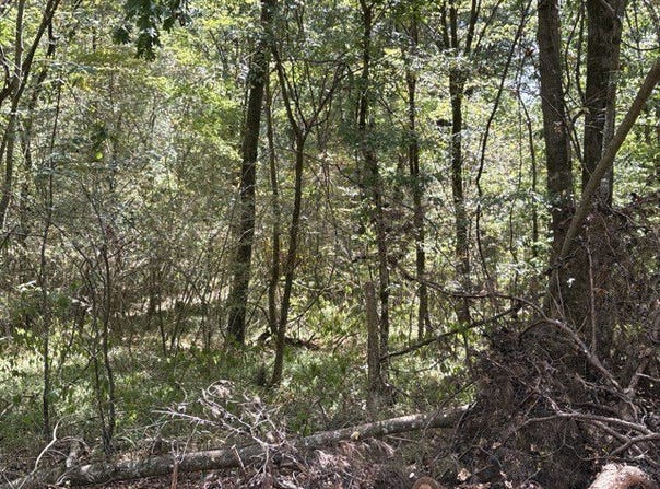 Camp Oliver Rd, Adger, AL 35006