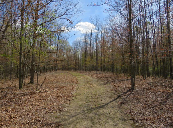 N Chippewa Road, Mount Pleasant, MI 48858