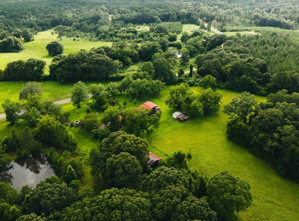 969 Indian Hill Road, Richton, MS 39476