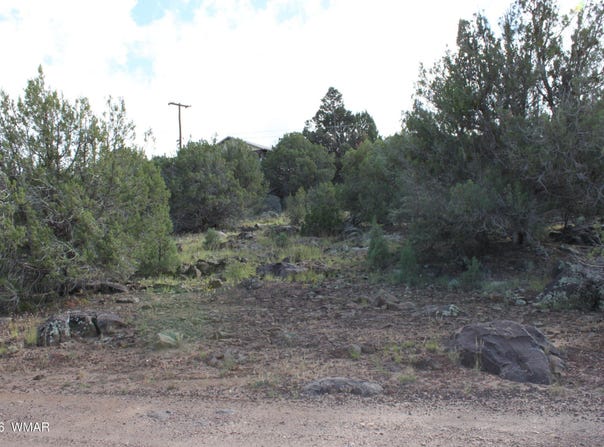 8319 Lone Pine Drive, Show Low, AZ 85901