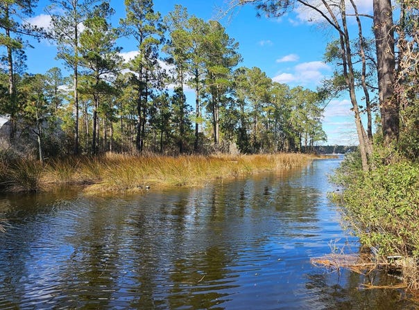 Barnes Foster Loop Rd., Belhaven, NC 27810