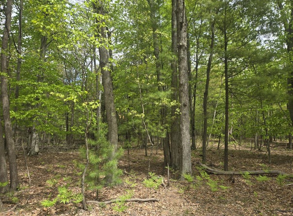 VL N Ridge Road, Mears, MI 49436