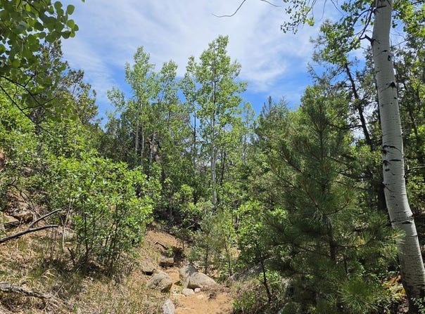 TBD L Bird Point Dr, Cotopaxi, CO 81223