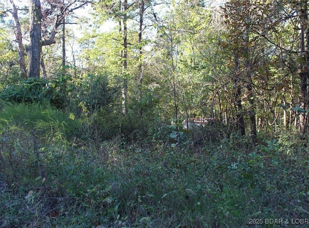Dogwood Drive, Stover, MO 65078