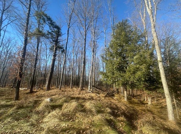 MUD LAKE RD, Florence, WI 54121
