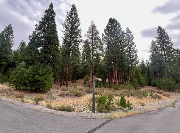 720 Blacktail Ridge, Portola, CA 96122